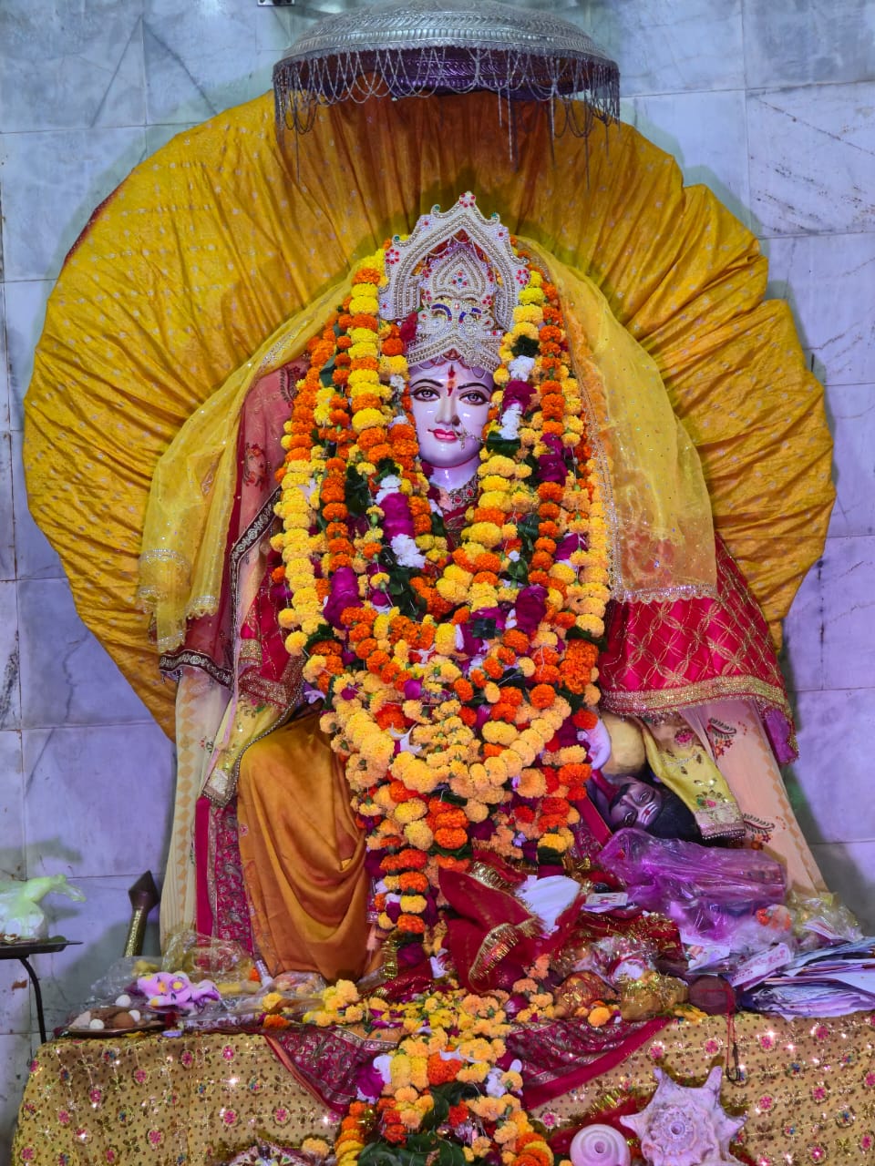 माँ पीताम्बरा प्रकटोत्सव (माँ पीताम्बरा जयंती)